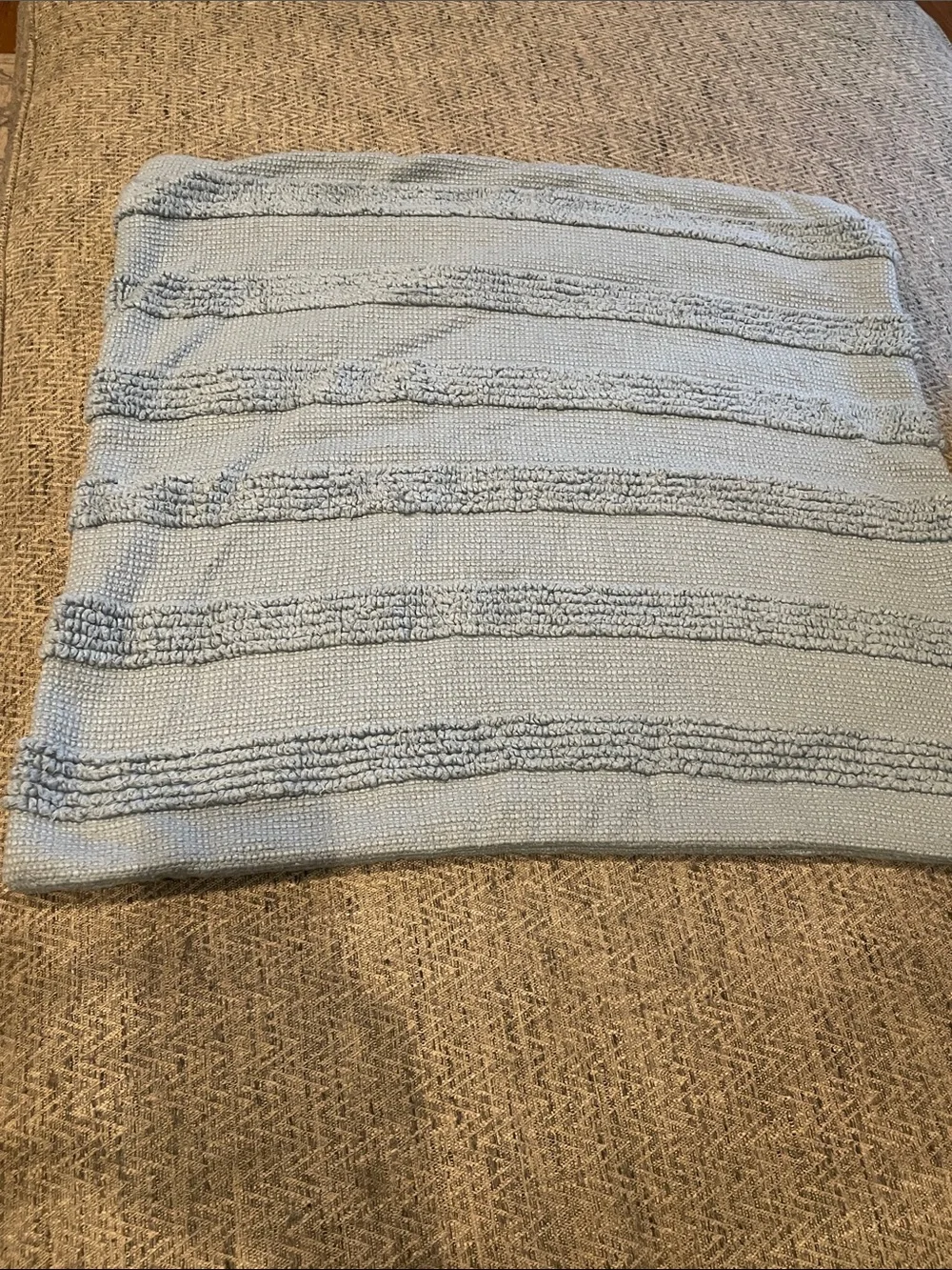 Pottery Barn light blue textured Euro Shams (set of 2)